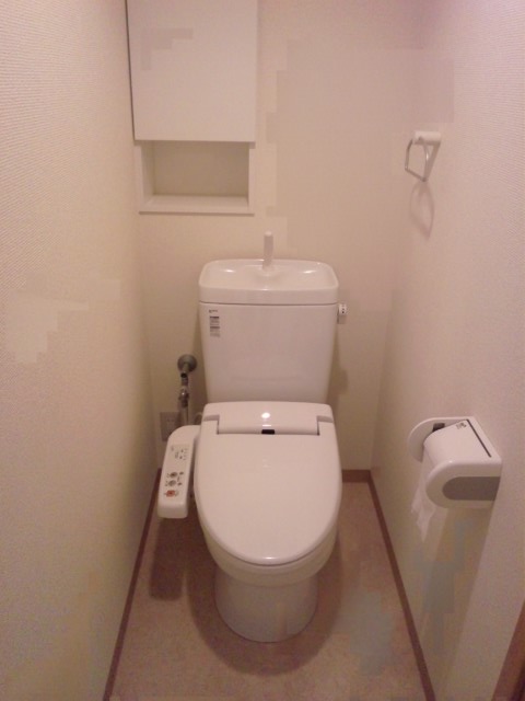 Other. Shower toilet with storage shelf