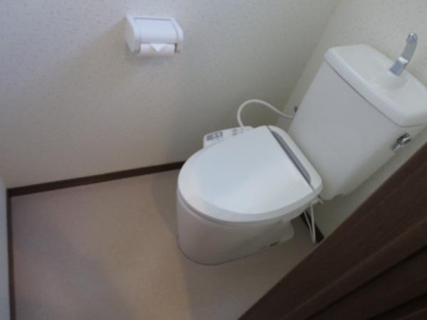 Toilet. It is comfortable with warm water washing heating toilet seat. Course was newly installed.