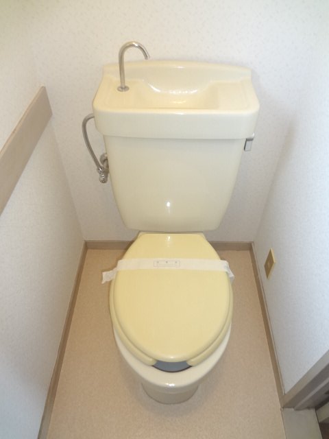 Toilet. Toilet with cleanliness!