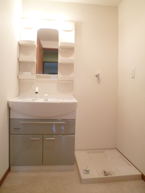 Washroom. With shampoo dresser