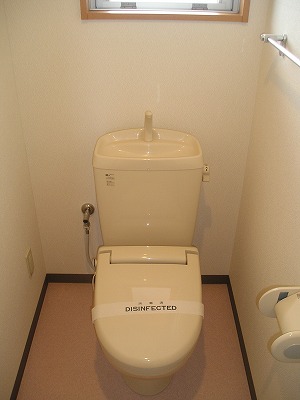 Toilet. A heated toilet seat, The window also available