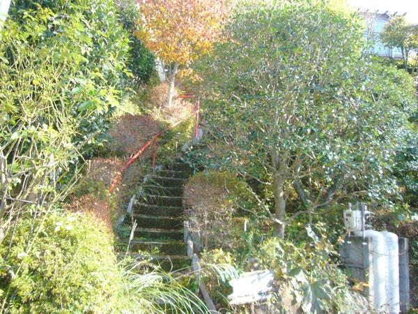 Other. On-site stairs from the front road to the door