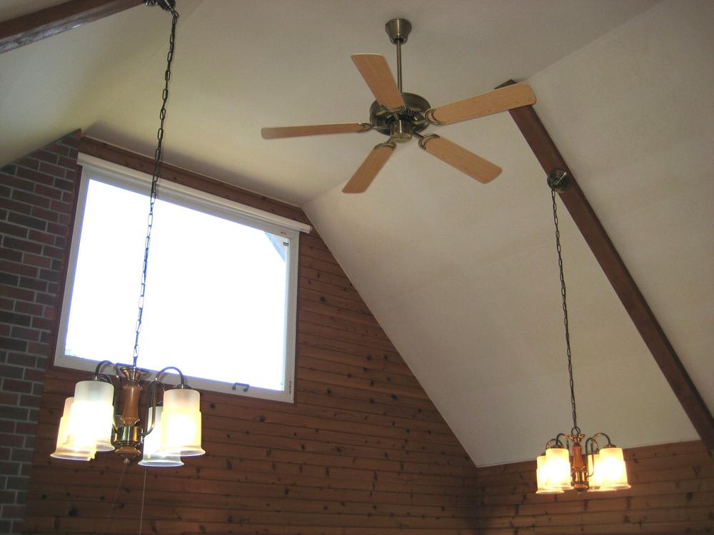 Other introspection. With ceiling fans