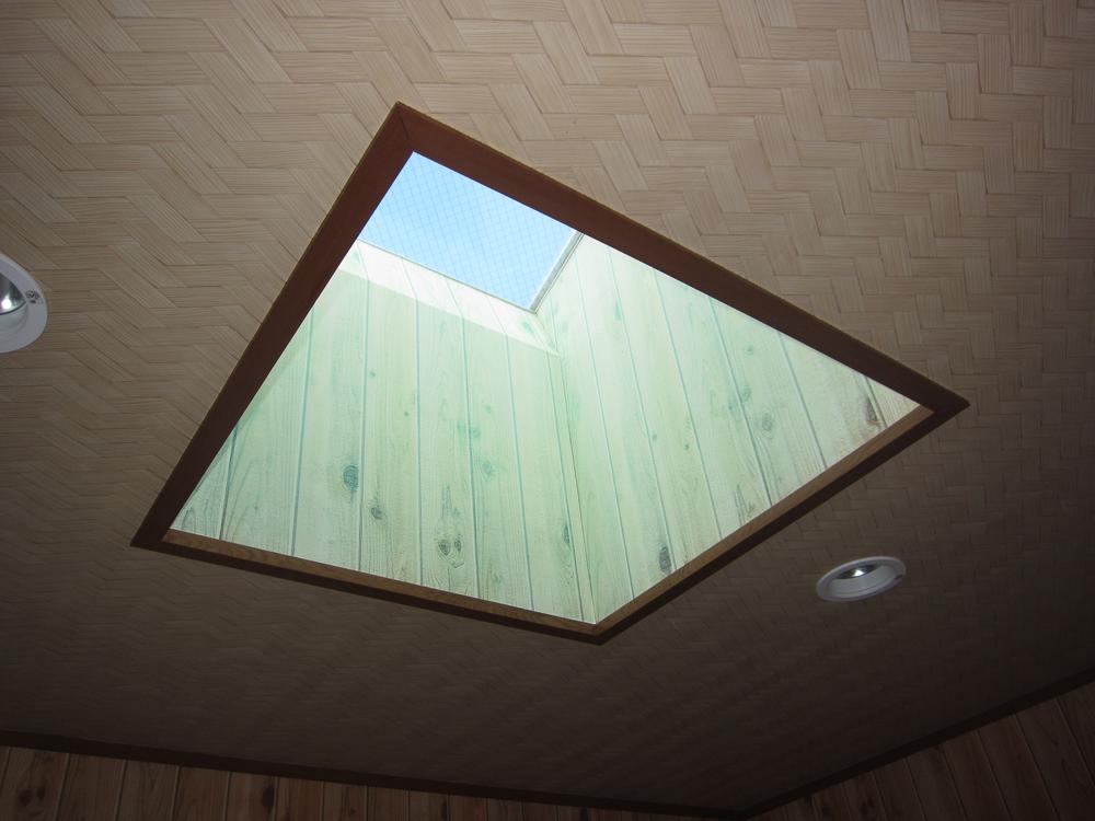 Other introspection. Skylight