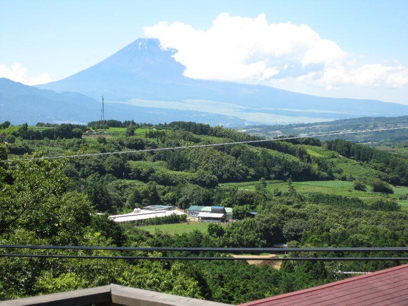 View photos from the dwelling unit. Large panorama