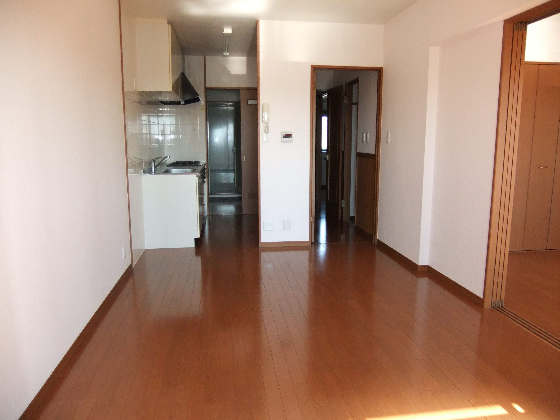 Living and room. Spacious LDK.