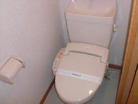 Toilet. Toilet with warm water washing toilet seat