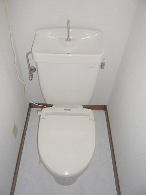 Toilet. Toilet (warm toilet type)