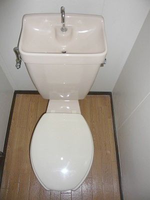 Toilet. Toilet