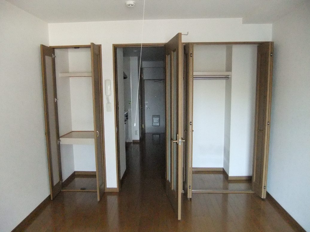 Living and room. Walk-in closet has such a wide storage space