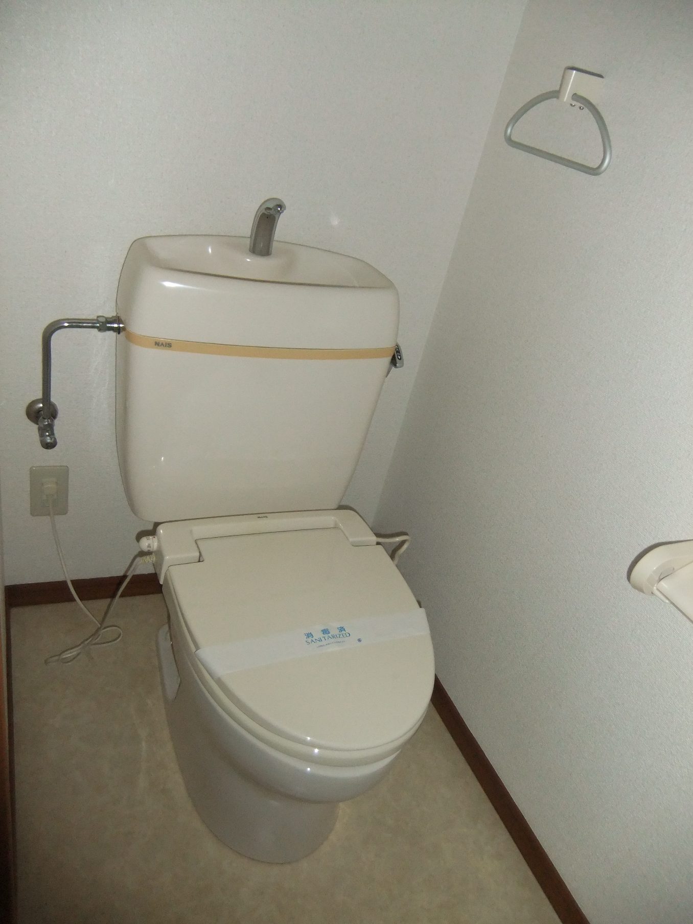 Toilet. It is a simple toilet.