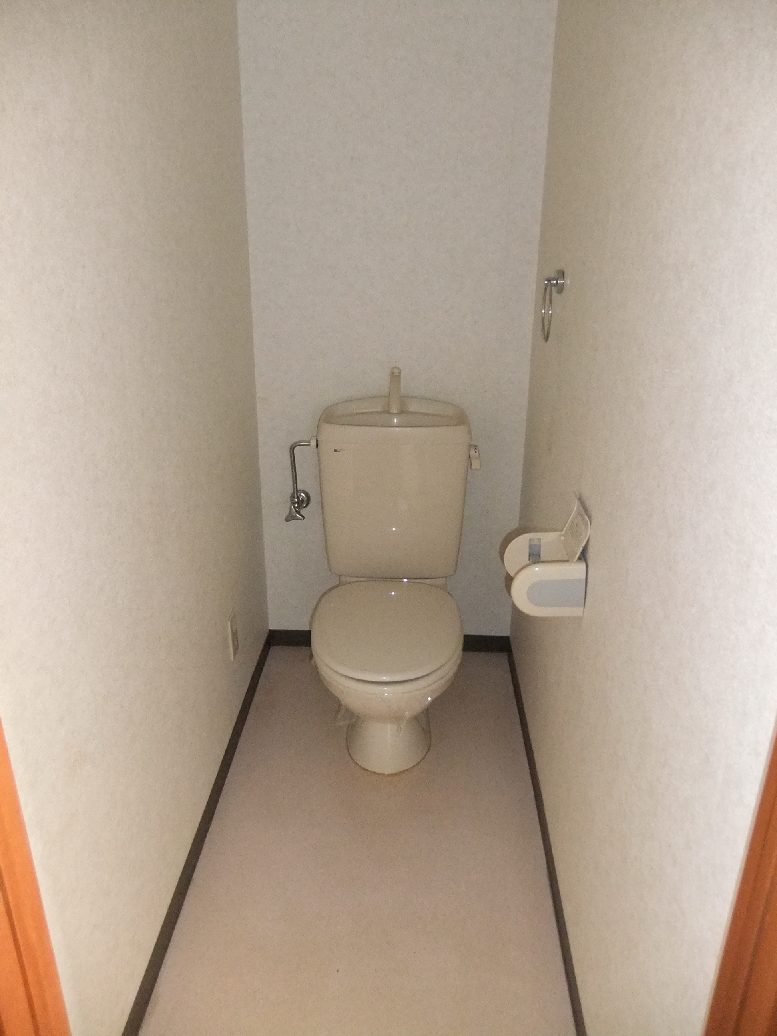 Toilet. It is a simple Western-style toilet.