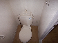 Toilet. Toilet