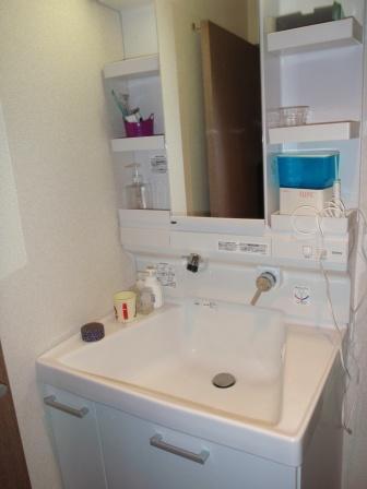 Wash basin, toilet. Indoor (03 May 2012) shooting