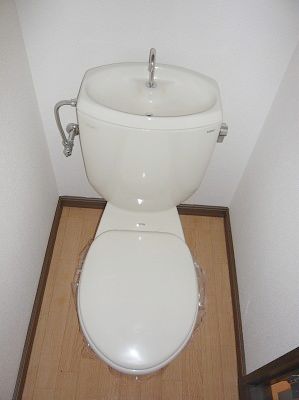 Toilet. Toilet