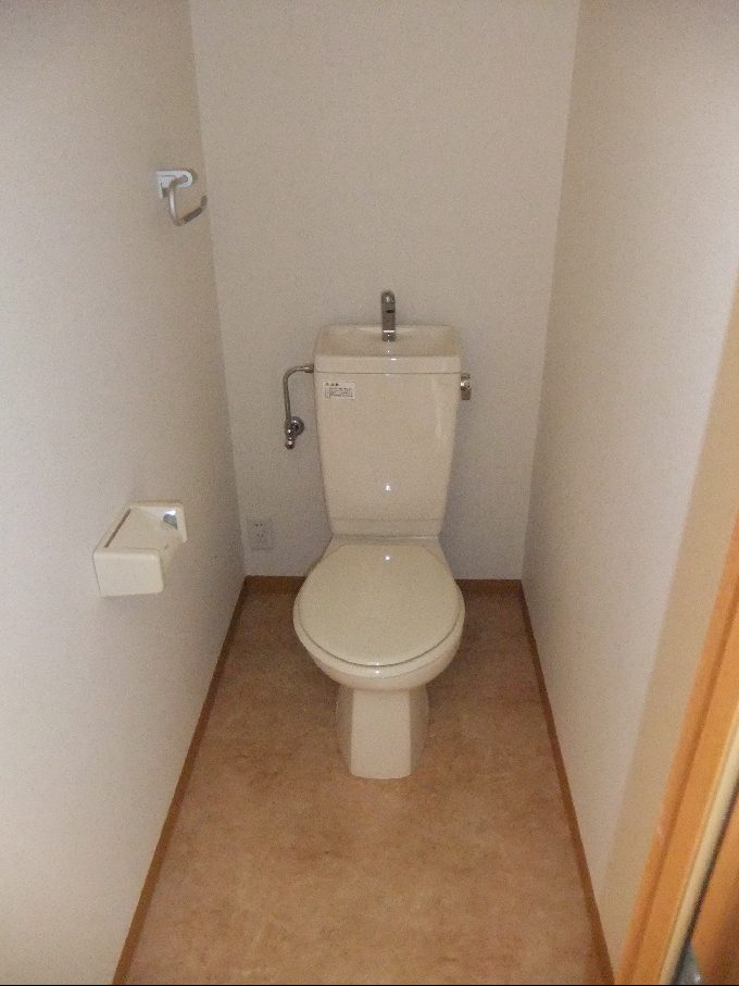 Toilet. Standard toilet.