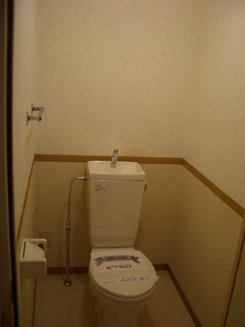 Toilet. Isomorphism