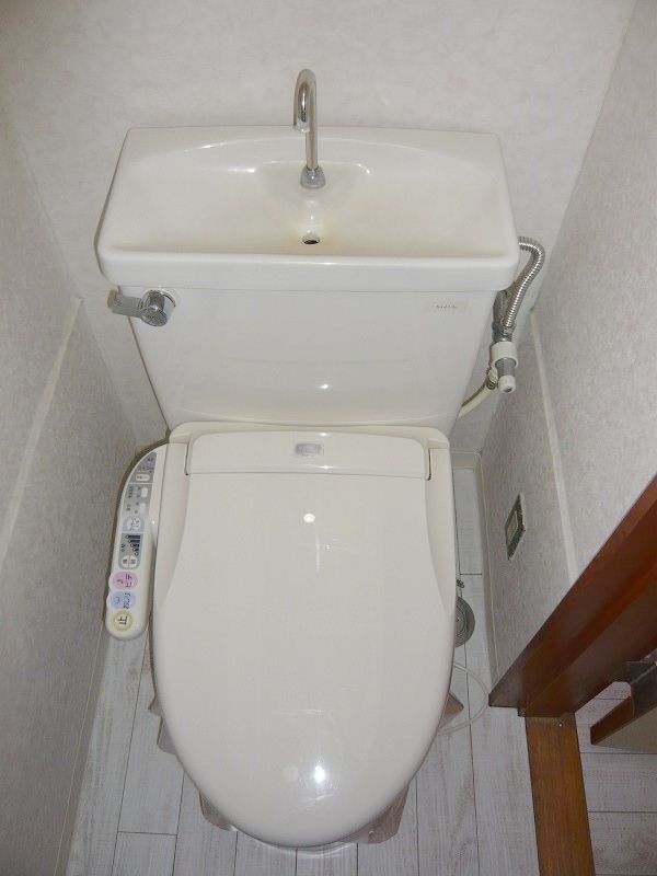 Toilet. Toilet (Washlet)