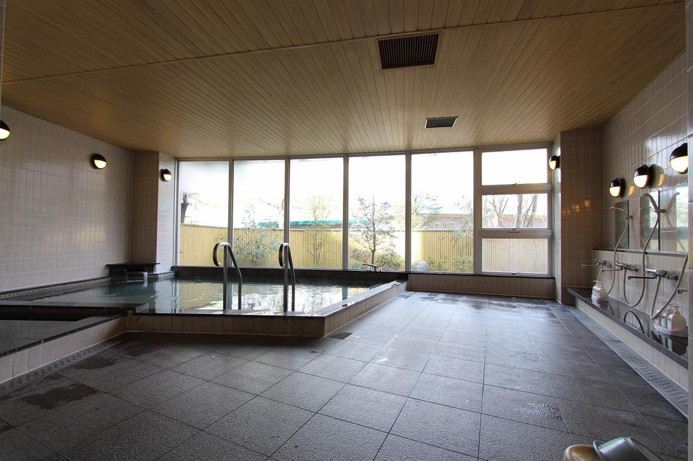 Other. Sauna with hot spring baths