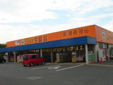 Drug store. Shibata chemicals to Sumiyoshi shop 1237m