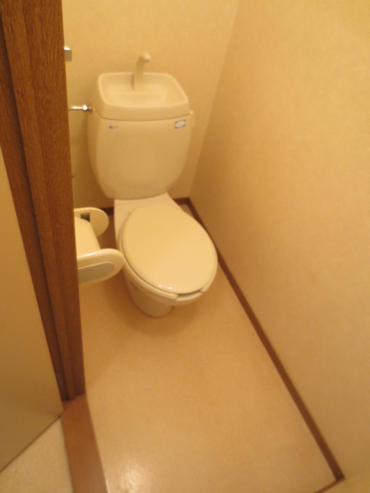 Toilet. It is a simple toilet!