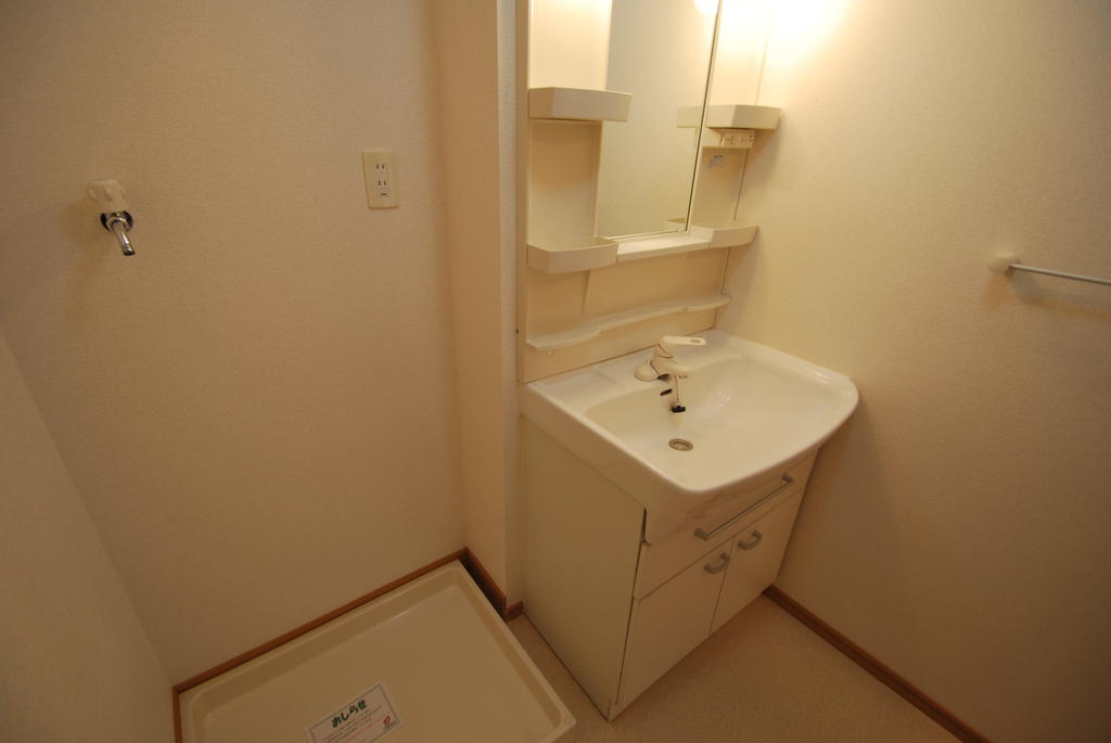 Washroom. Shampoo Dresser & Indoor Laundry Area