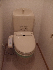 Toilet. Cleaning toilet.