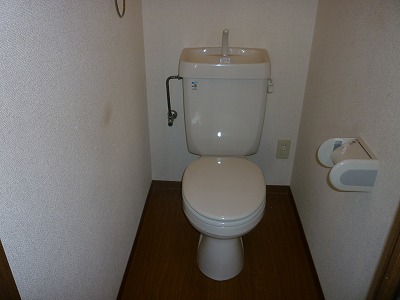Toilet. In the toilet ~ To