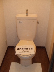 Toilet. Toilet space is also large.