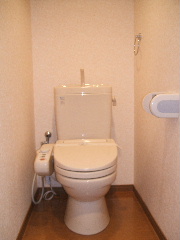 Toilet. It is with Washlet.