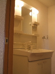 Washroom. Washbasin with shower.