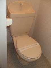 Toilet. It is comfortably wide toilet!