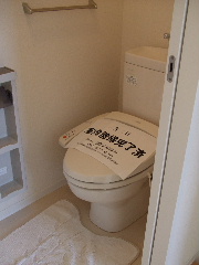 Toilet. It is with warm water washing toilet seat.