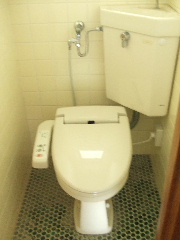 Toilet. It is cleaner with toilet.