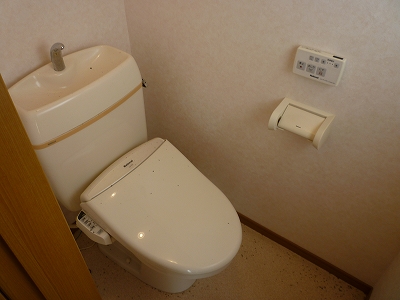 Toilet. Bidet with toilet! ! !