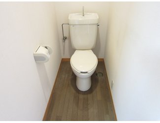 Toilet. Clean toilets