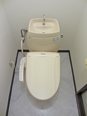 Toilet. Toilet