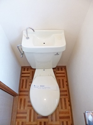 Toilet. Toilet