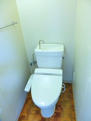Toilet. Warm toilet seat with toilet
