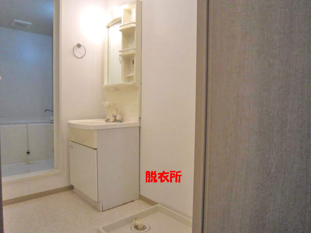 Washroom. Washing machine can be installed in a room.