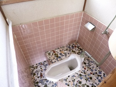 Toilet. Japanese-style toilet