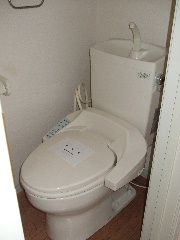 Toilet. Of course, with cleaning function is in the toilet.