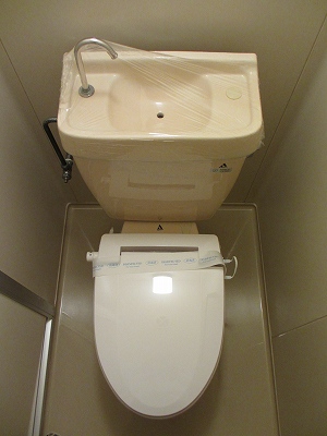 Toilet. Toilet