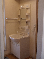 Washroom. Dressing in a wash basin with shower.