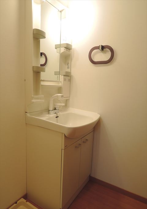 Washroom. Vanity with shower