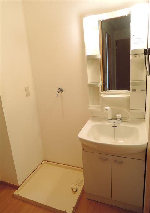 Washroom. Laundry Area