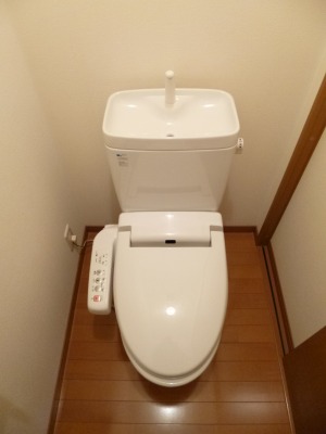 Toilet. Warm water washing toilet seat