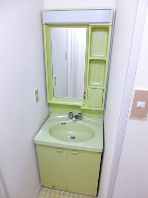 Washroom. Bathroom vanity