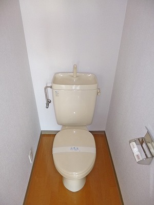 Toilet. Toilet