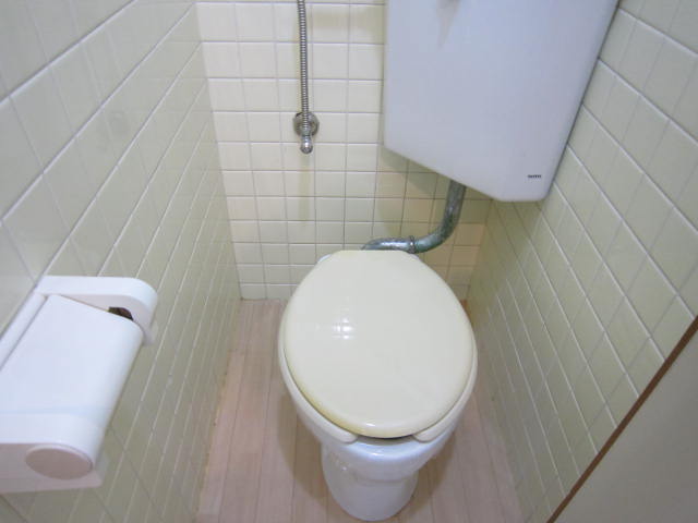 Toilet. It is a Western-style toilet.